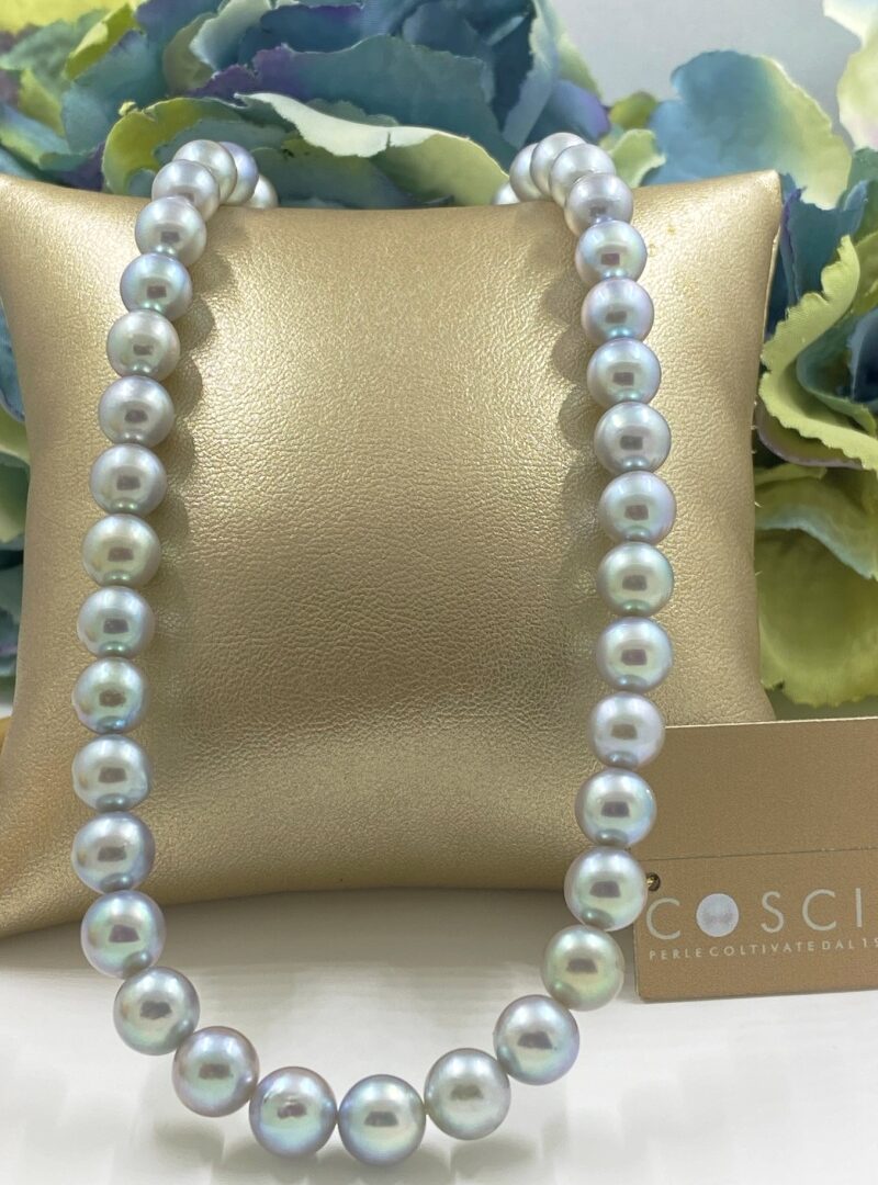 COSCIA - Robyn 01 Gray AKOYA Gyöngysor